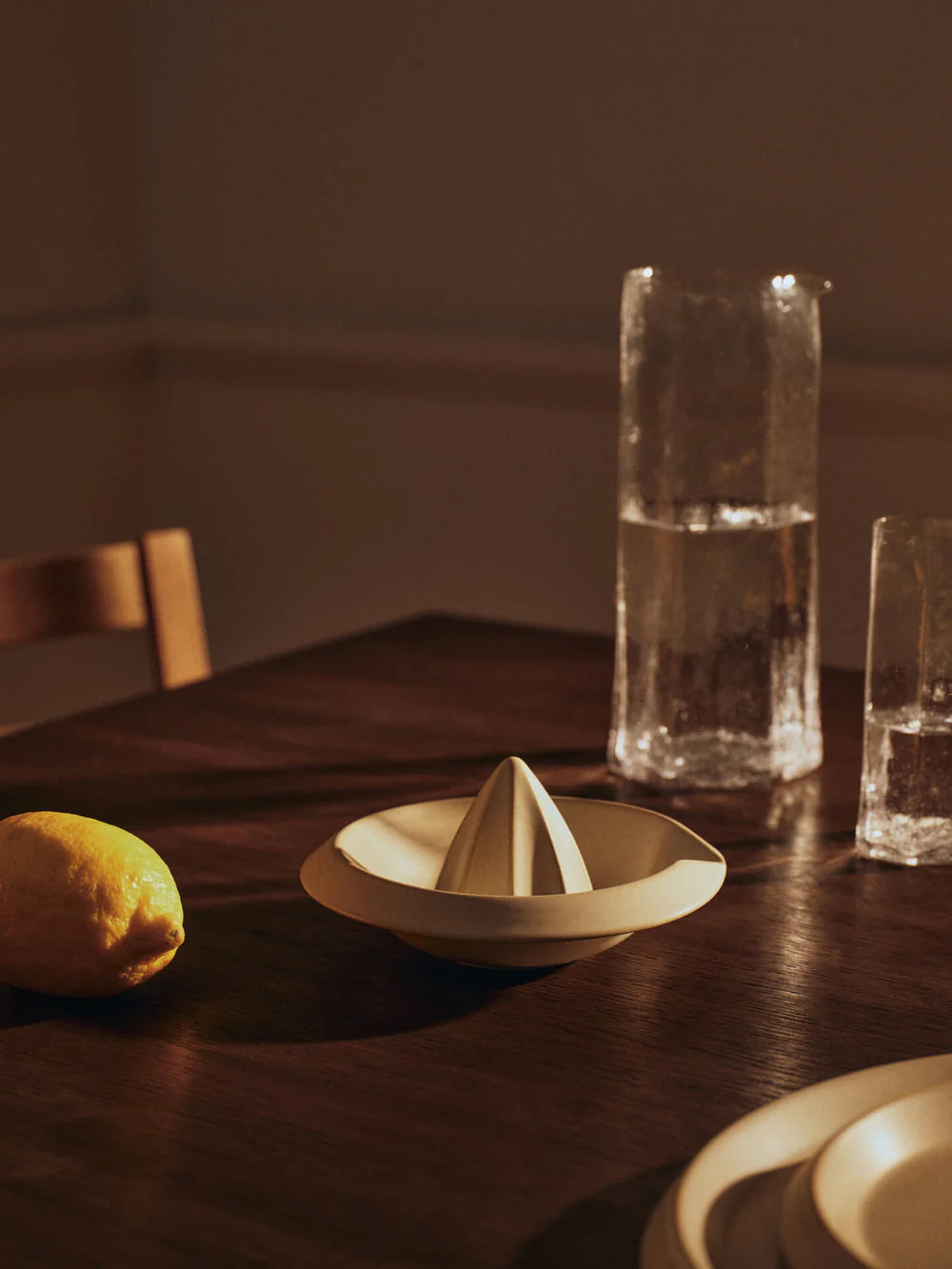 Erena Citrus Juicer
