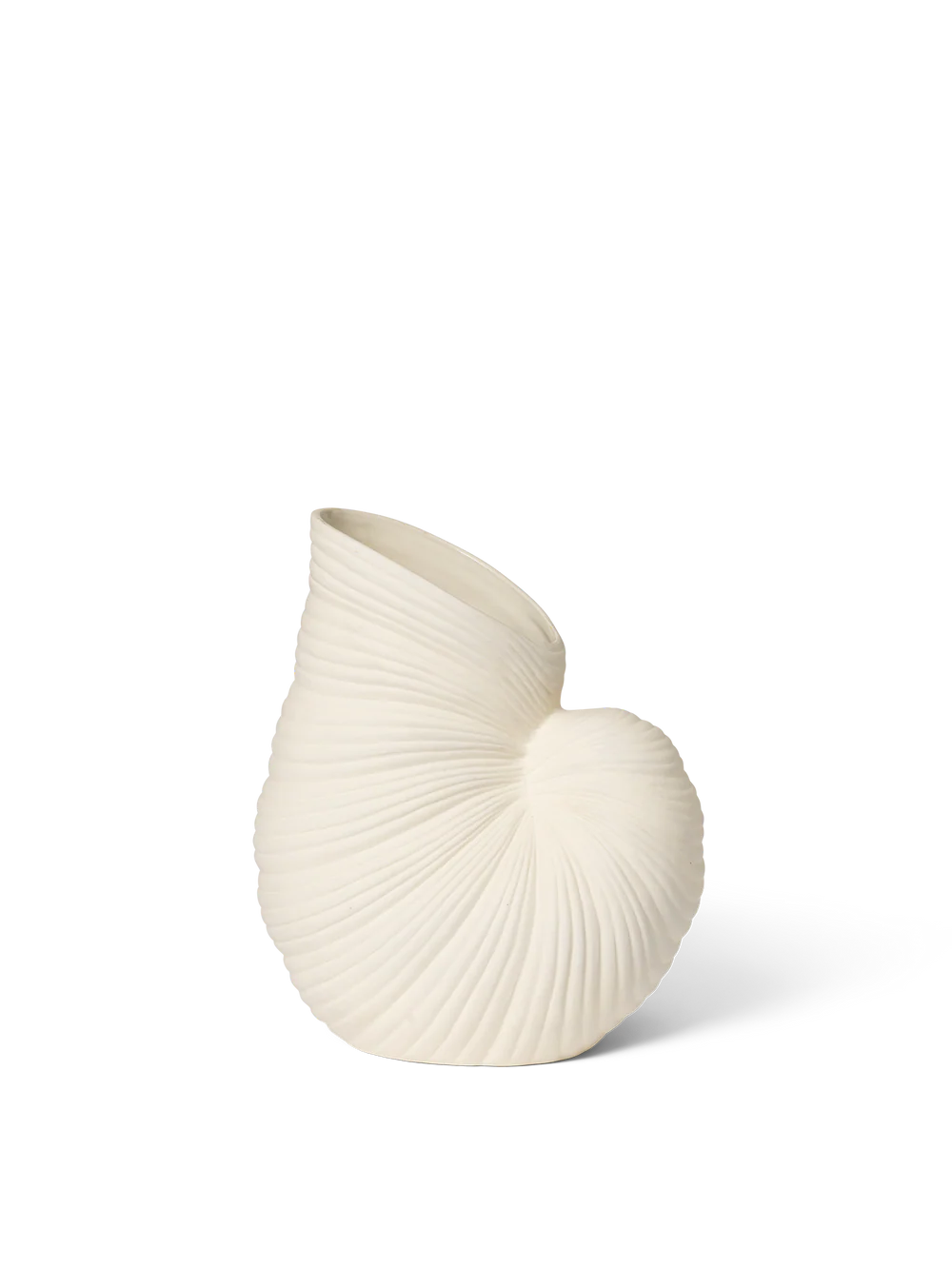 Shell Vase